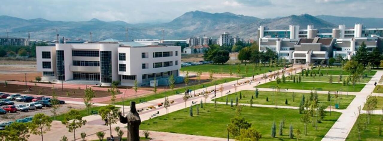 University of Montenegro Faculty of Medicine