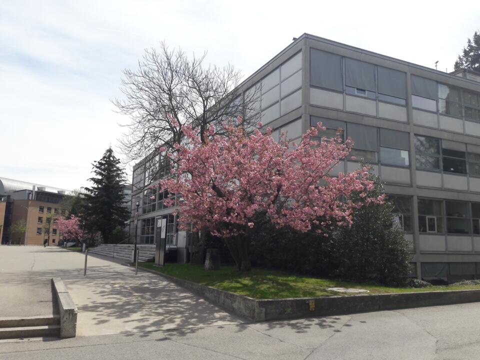 Université de Fribourg Faculté des Sciences et de Médecine