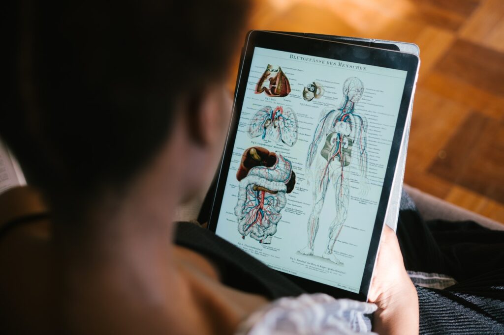 M01 Human anatomy cover image