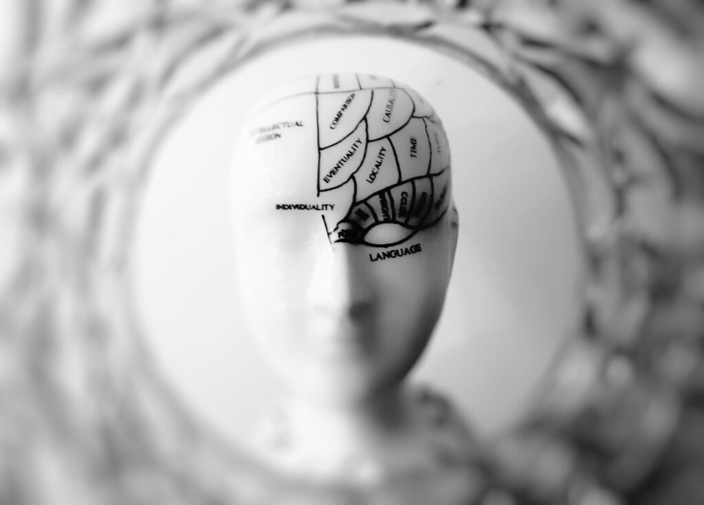 Neuroanatomy product image