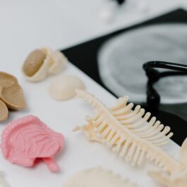 M04 Medical Physiology