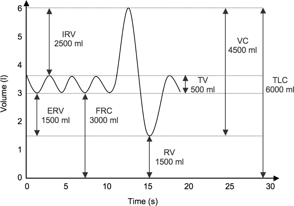 M04.07.01 Lung Mechanics