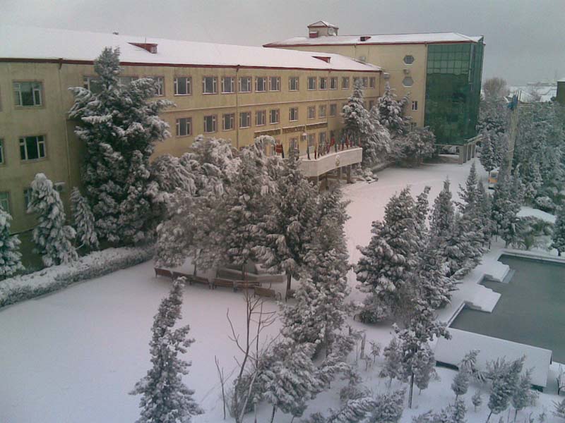 Azerbaijan International University (AIU) Faculty of Medicine