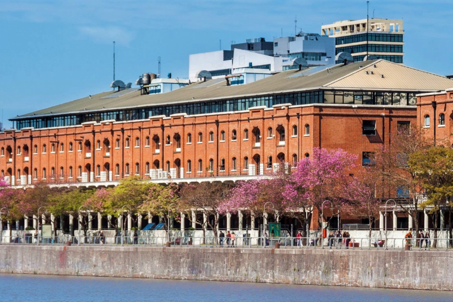 Pontificia Universidad Católica Argentina Facultad de Ciencias Médicas