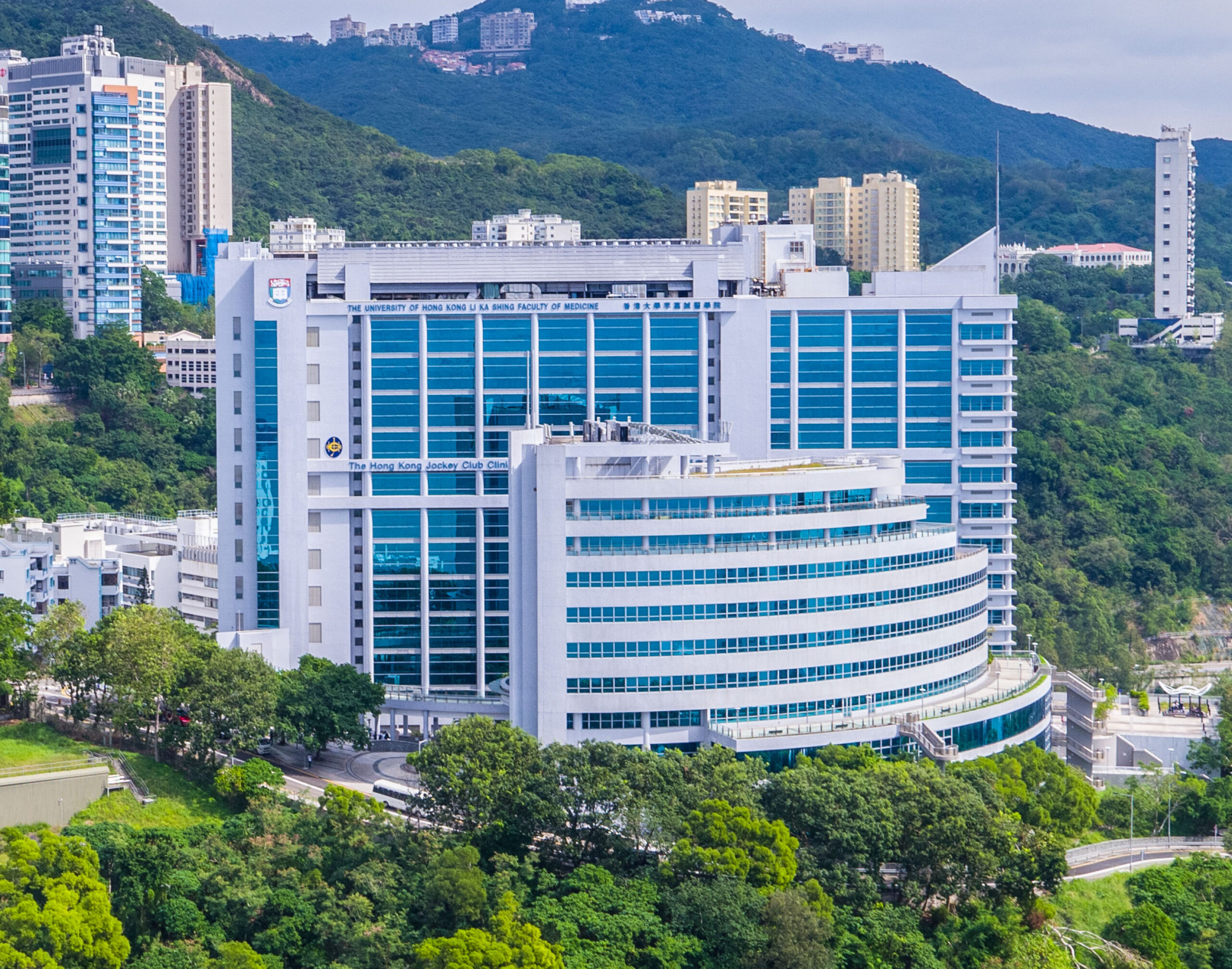 Li Ka Shing Faculty of Medicine, University of Hong Kong