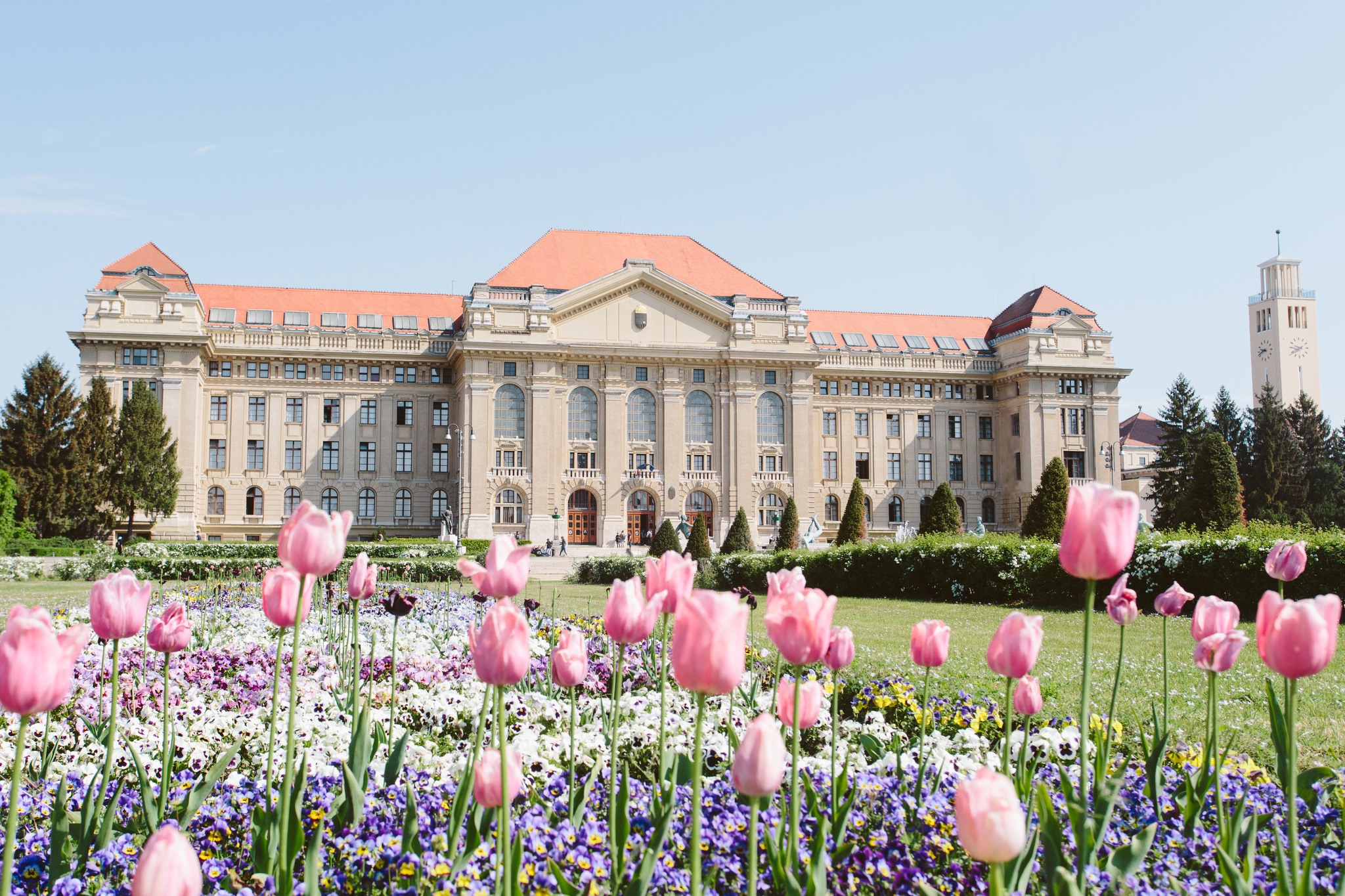 University of Debrecen Faculty of Medicine (SHADULE 2)