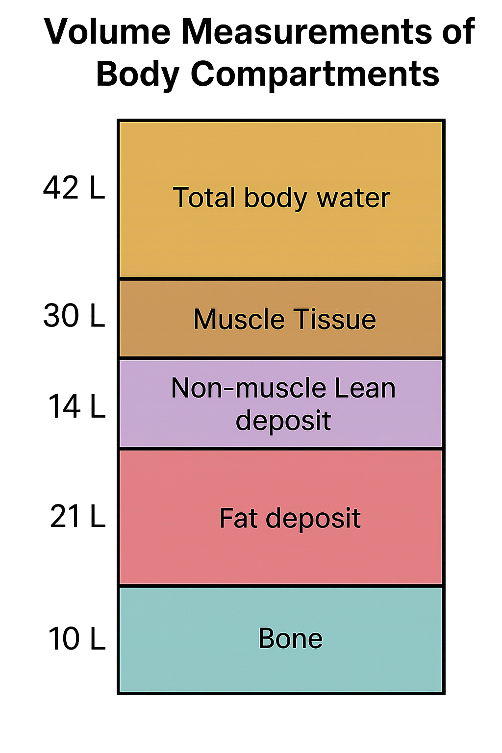 Volume Measurements of Body Compartments – Techniques and Clinical ...