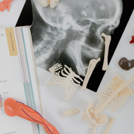 red handled scissors beside white printer paper