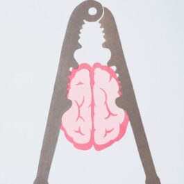 brain in a nut cracker