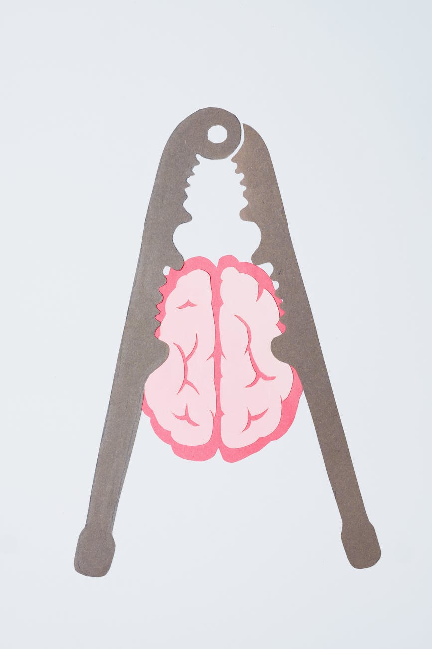 brain in a nut cracker