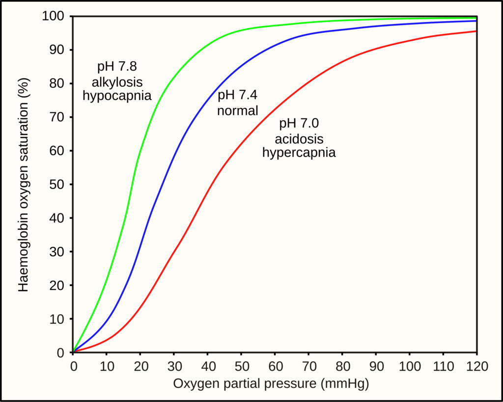 mymedschool.orgOxygen-Haemoglobin_dissociation_curves