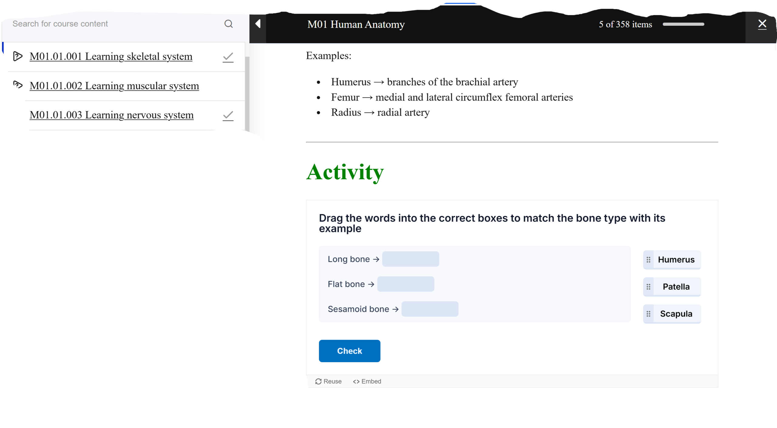 End-of-Lesson Questions