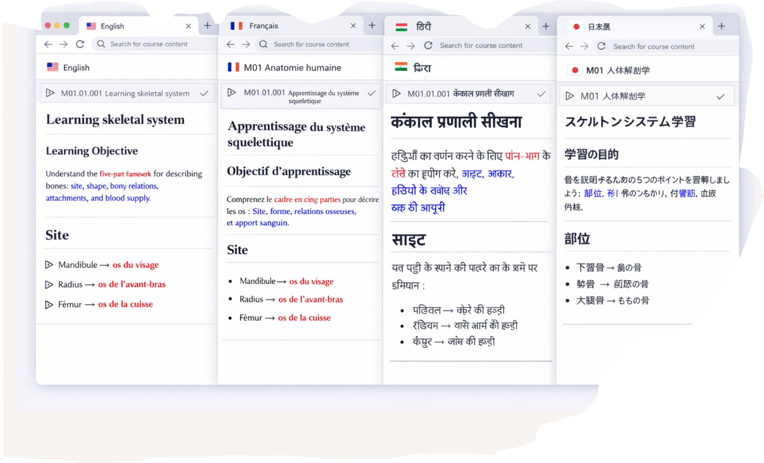 Learn in Your Own Language