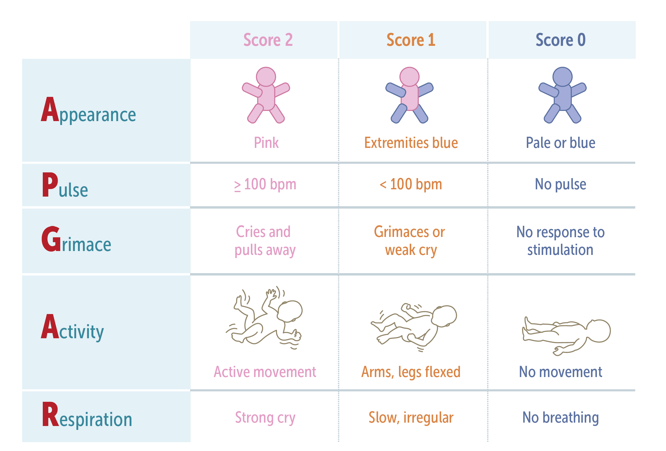 mymedschool.orgAPGAR