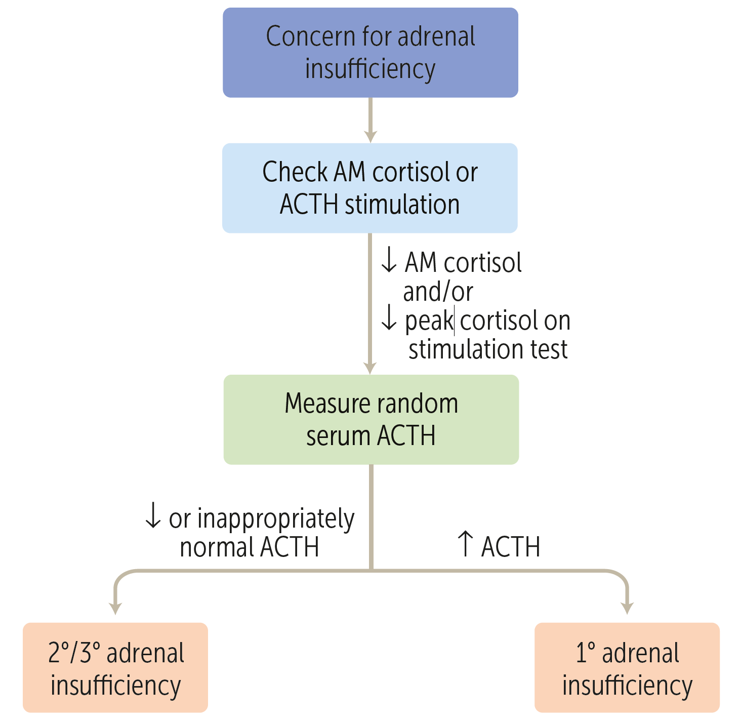 mymedschool.orgAdrenal insufficiency